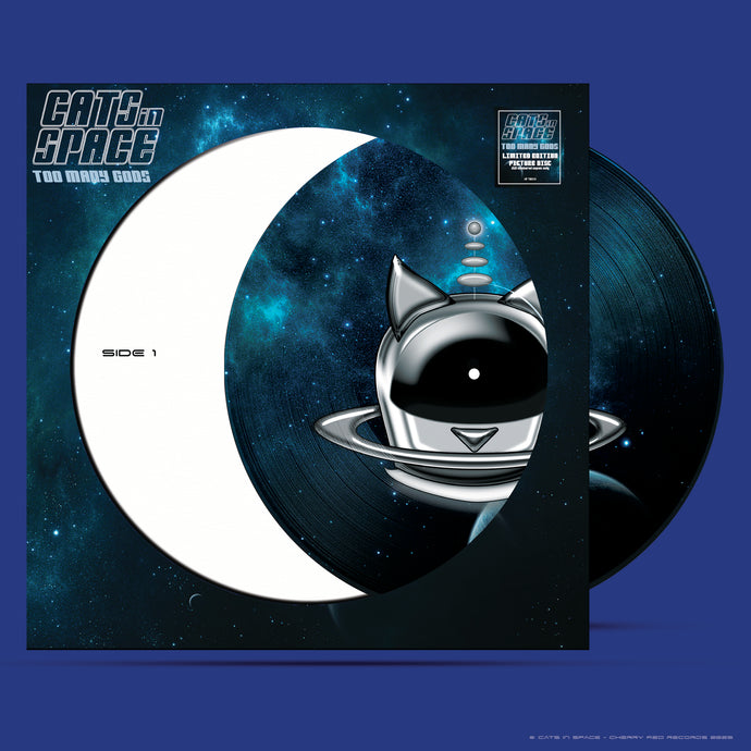 TOO MANY GODS - PICTURE DISC 2025 - VINYL LP - COMING SOON!