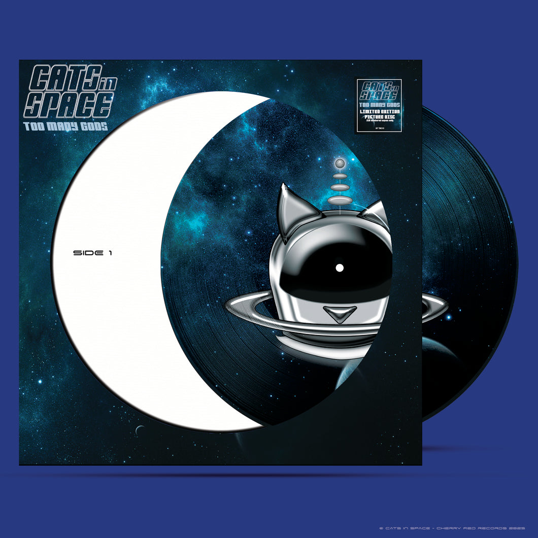TOO MANY GODS - PICTURE DISC 2025 - VINYL LP - COMING SOON!