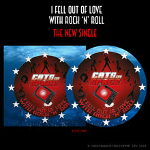 Load image into Gallery viewer, I FELL OUT of LOVE WITH ROCK &#39;n&#39; ROLL / 2:59  7&quot; Picture Disc
