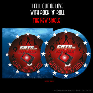 I FELL OUT of LOVE WITH ROCK 'n' ROLL / 2:59  7" Picture Disc