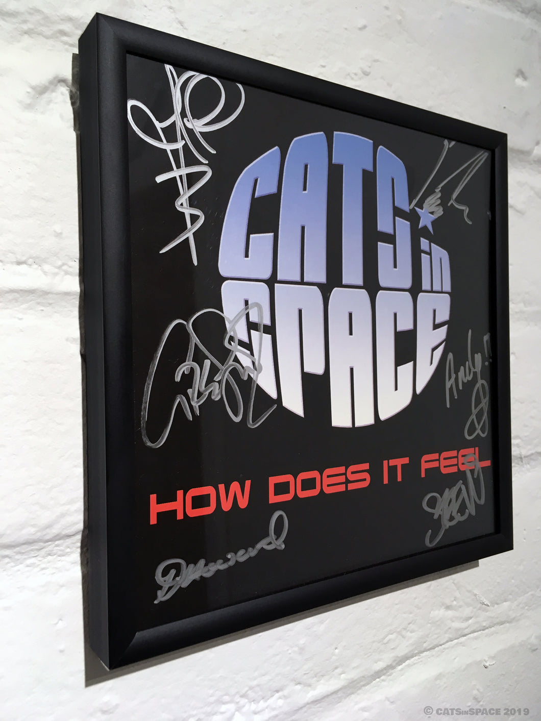 ‘HOW DOES IT FEEL’  Fully signed - Collector's framed single sleeve