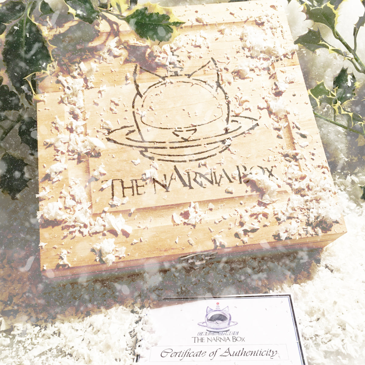 The LIMITED EDITION 'NARNIA BOX' – CATS in SPACE Webstore